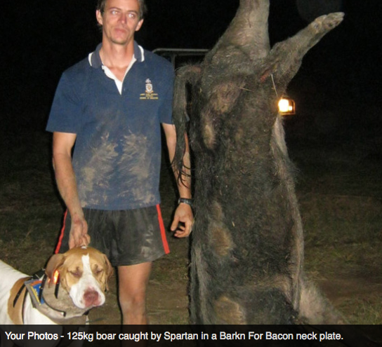 Screen Shot 2013-10-02 at 1.38.22 PM